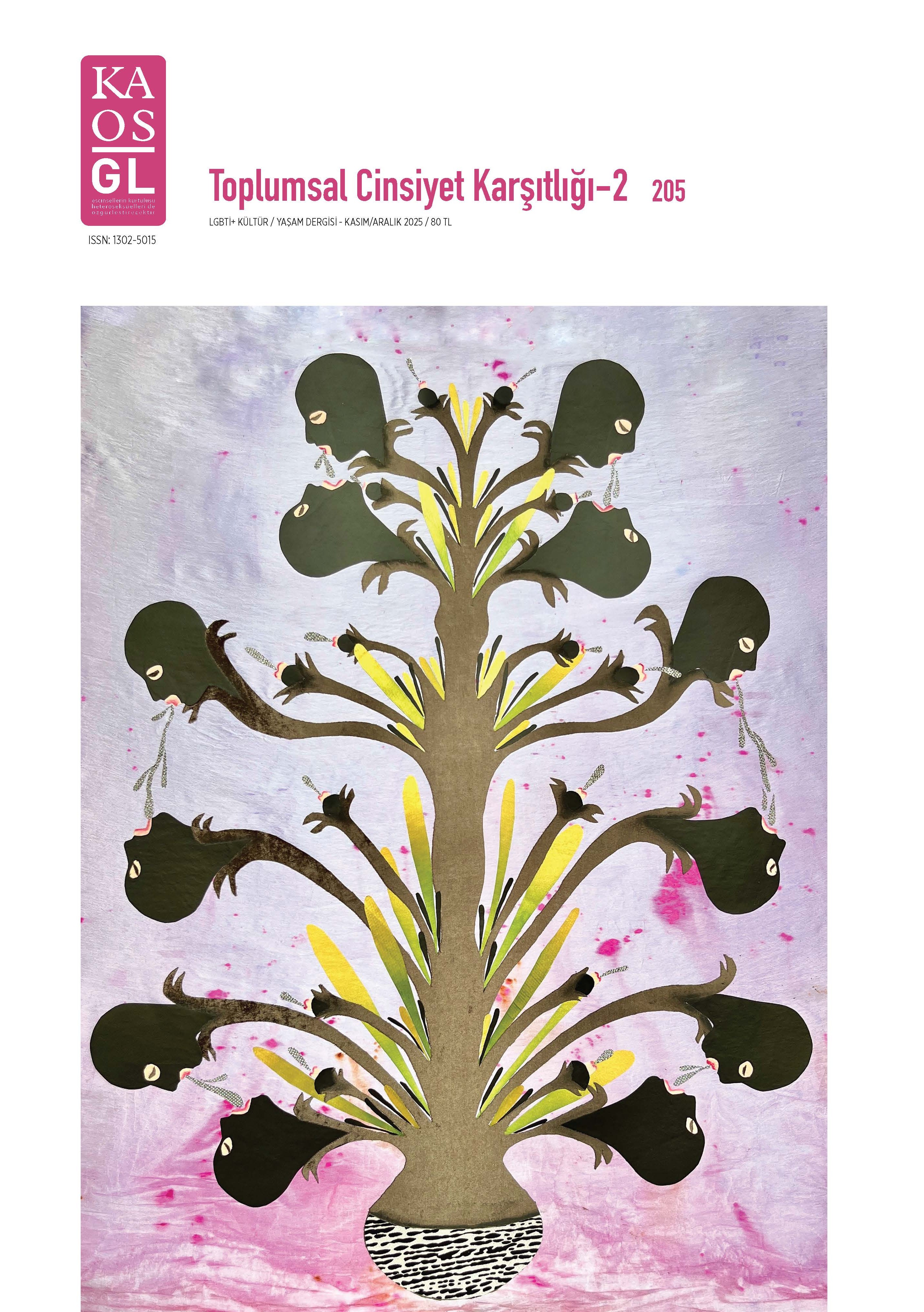 Toplumsal Cinsiyet Karşıtlığı - 2 - 205 - Kaos GL Magazine